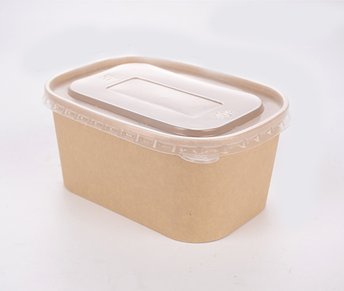 1000 ml rectangualr bowl 1000 ml rectangualr bowl